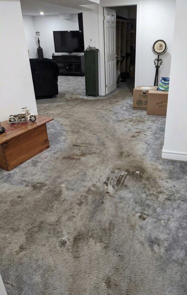 Oshawa basement with old stained carpet before laminate flooring installation